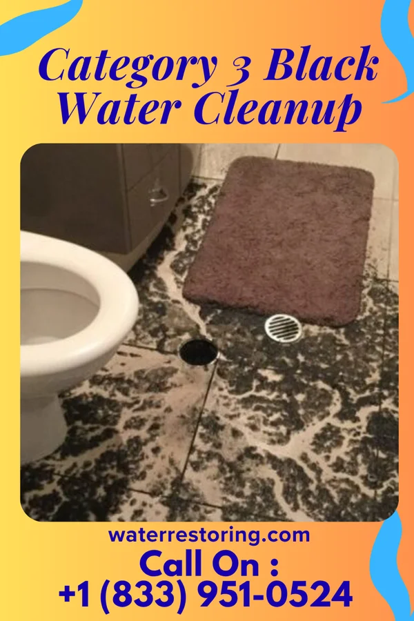 Category 3 Black Water Cleanup in Long Branch, PA