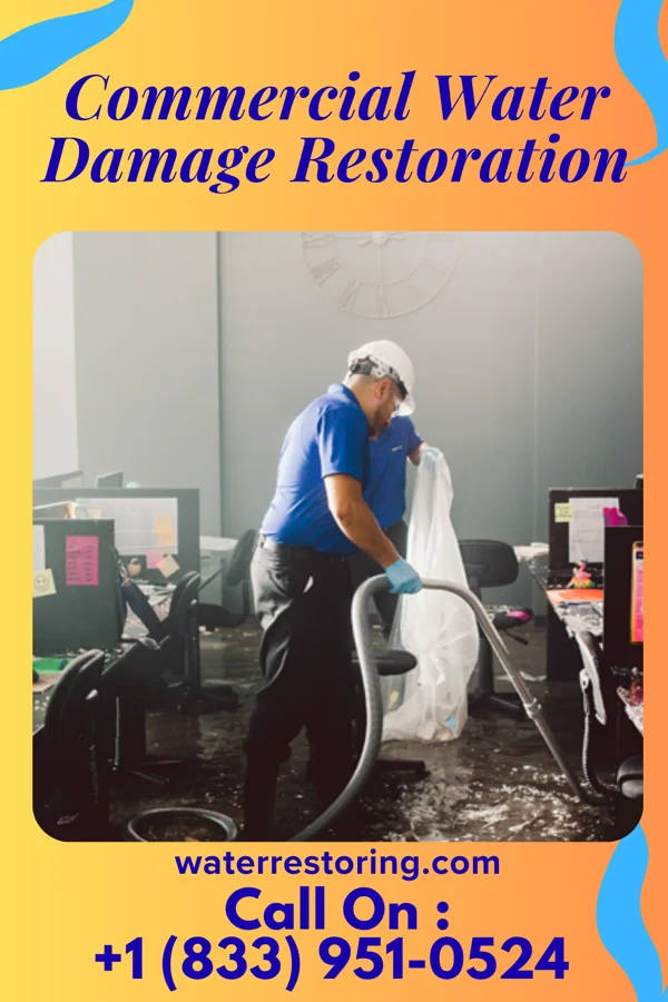 Commercial Water Damage Restoration in Long Branch, PA