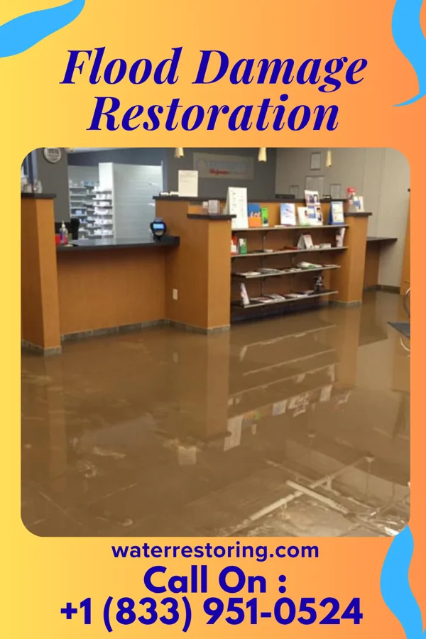 Flood Damage Restoration in Long Branch, PA