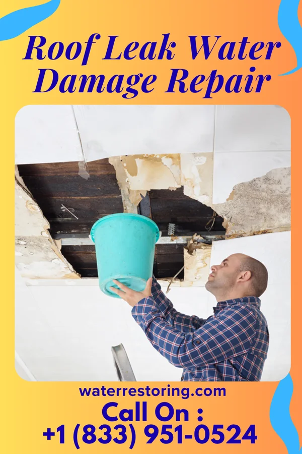 Roof Leak Water Damage Repair in Long Branch, PA