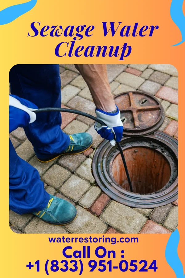 Sewage Water Cleanup in Long Branch, PA